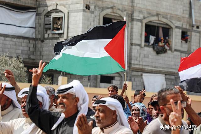 加沙女护士血泪控诉：300万人的炼狱，为何"停火"成了最大谎言？