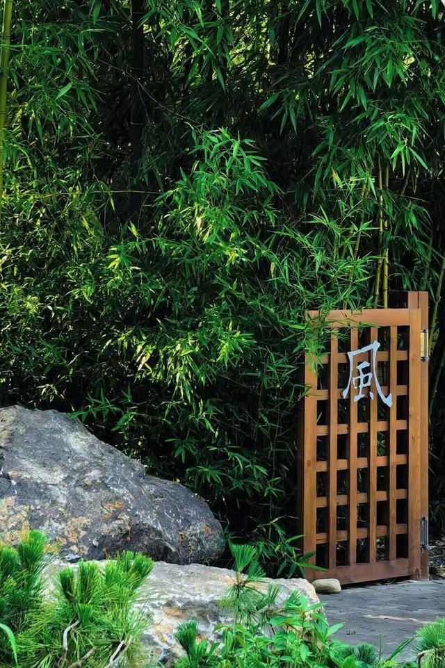 白露凝秋光，沂蒙藏诗意——解锁临沂景区里的 “晶莹秋日”