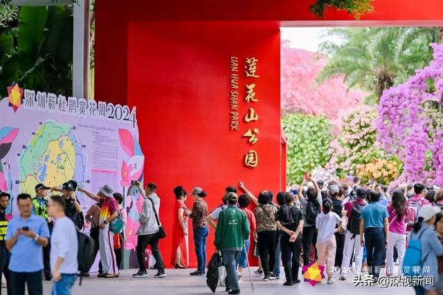 簕杜鹃花海最佳观赏期，这份“秋日限定”浪漫请收下