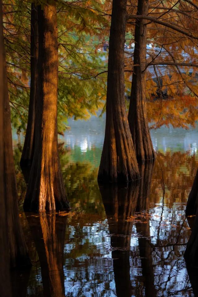 时间在这里按下暂停键,让我们见证季节变换
