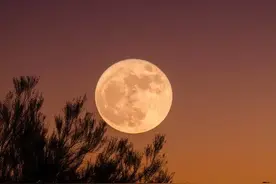 为什么有些人会“梦见未来”你们有类似的经历吗？图片