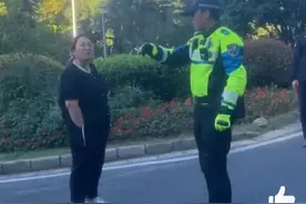 南京明孝陵景区，女游客吐槽停车太贵：本地网友建议公共交通出游图片