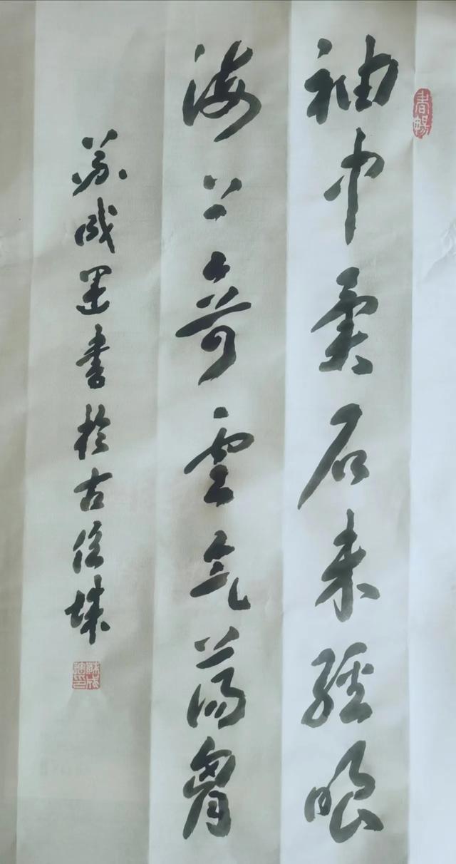 苏成运书法独树一帜
