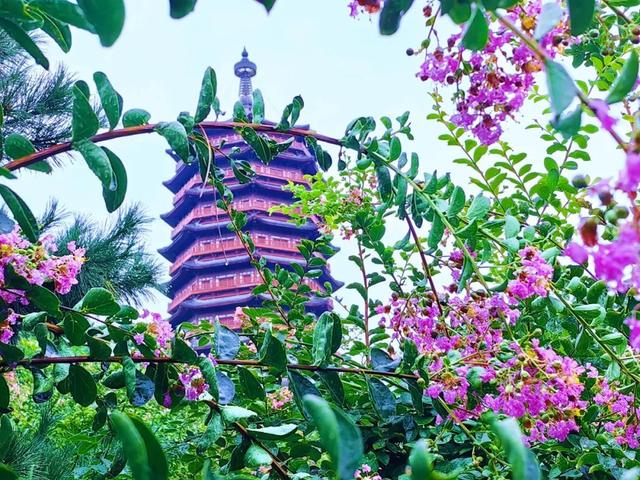 发现丰台之美 | 盛夏，丰台生态画卷邀您——