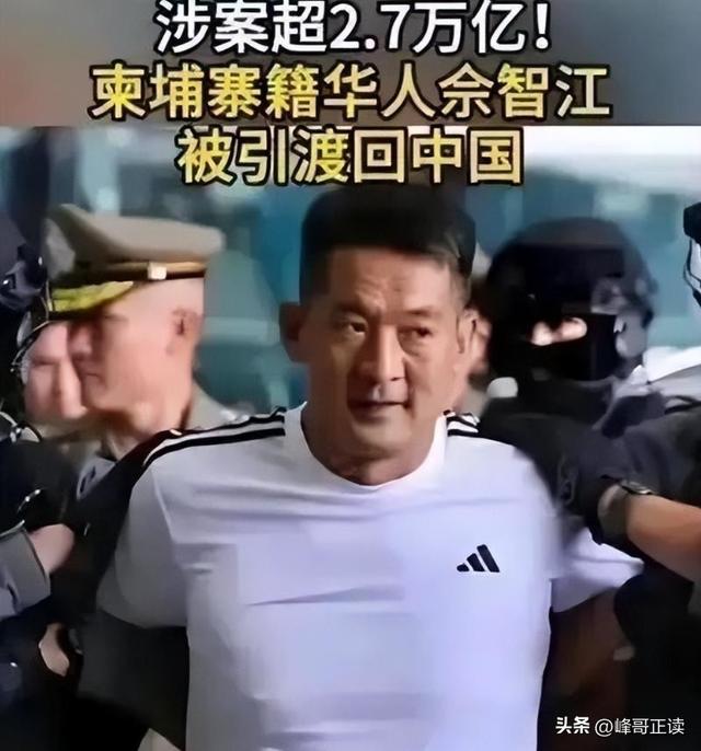 拔出萝卜带出泥！49岁赵薇近况被曝，原来圈内封杀只是冰山一角