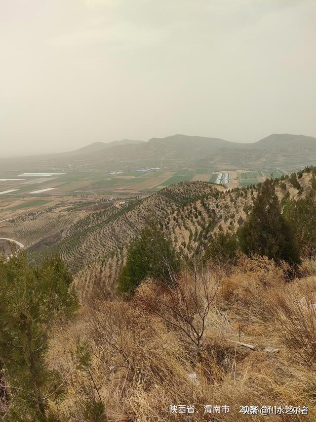 金帜山下唐·景陵