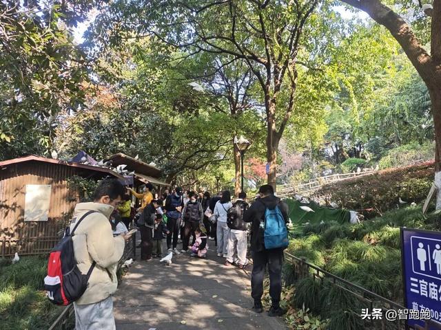 2025 杭州西湖 City Walk 留下足迹