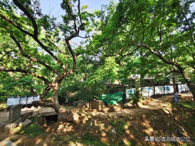 六百年历史的浮山荒草庵开始重修，曾被德国侵略者誉为最美的景点