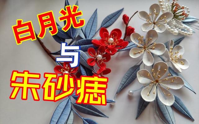 “白月光”和“朱砂痣”啥意思？一个是没得到，一个是没要成。
