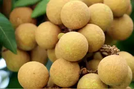 你知道桂圆的"几A″是啥意思？——能以此为依据买桂圆吗？图片