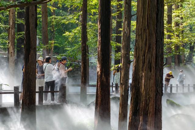 樱桃沟喷雾景观