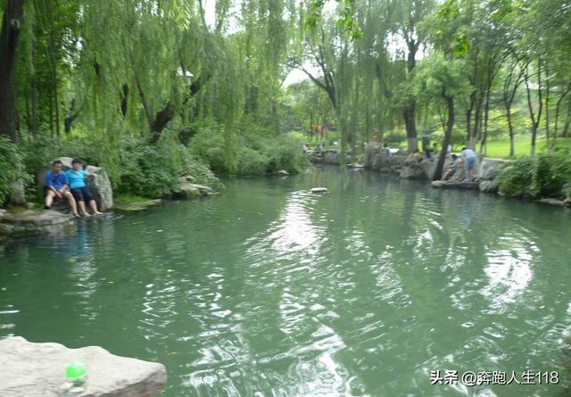 夏日炎炎，泉城戏水，不辞长作济南人
