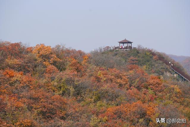 焦作窄门的深秋色彩！走五彩步道，赏太行红叶