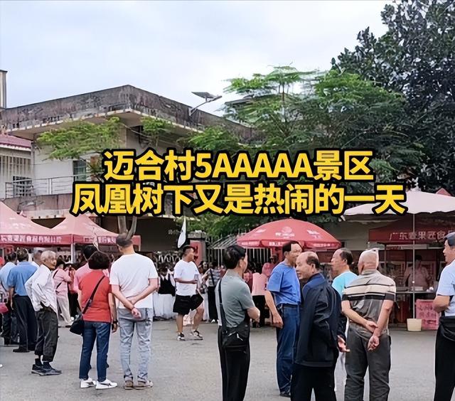 演都不演了！全红婵爸爸用冠军名号赚钱	，评论区恶心的一幕出现了