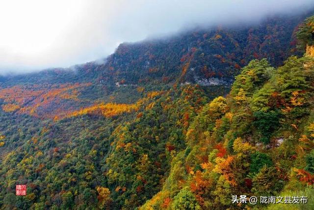醉美文县：秋色斑斓大岭梁