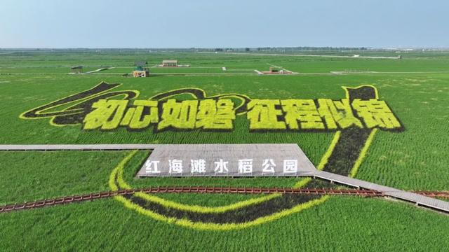 全国征集 | 2026年盘锦红海滩稻田画主题，由你来定~