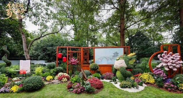 不愧是顶流！一大早就红了，人挤人持续好多天！萧山人家门口也有······