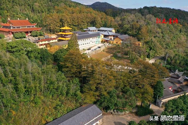 金黄耀眼的金钱松林间，隐逸的城墙如长城，有何秘密？