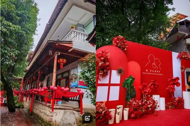 老兵军嫂游柳江：曾家园里看古树，烟雨河畔话当年