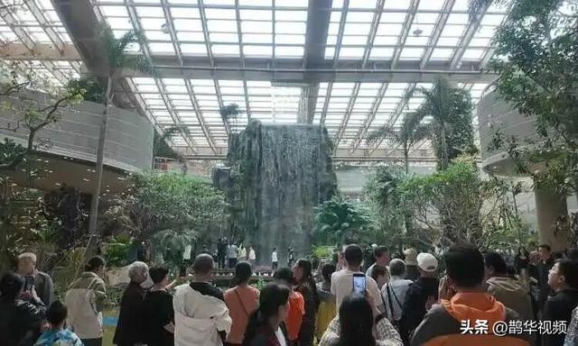 8天23场活动，接待20万人次！鹊山生态文化区成济南文旅“黑马”