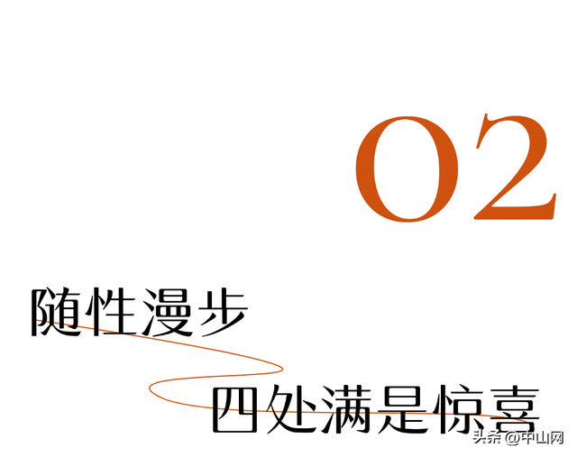 太出片啦！中山焦糖色「落羽杉」上线