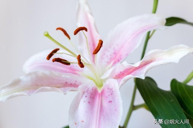 我28岁还是处女，和一个34岁男人相亲一个月后，忍不住就想嫁给他