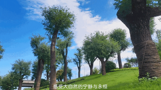美爆！渭南这些家门口的公园，你去过几个？