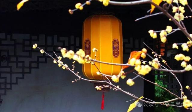 冬游看花，崇州寻梅攻略来啦！