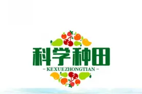 多菌灵、代森锰锌、甲托有什么区别？我们该如何选择使用图片