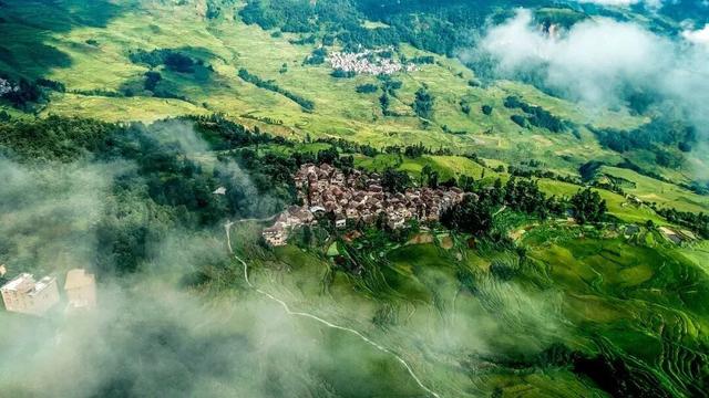 周年限定！快来阿者科当一天“哈尼公主”