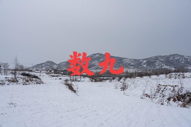 老话“三九冷不冷	，就看八月廿三”，是啥意思？今年冬会很冷吗？