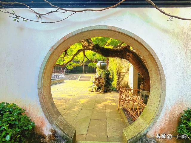 20:天下第三泉——杭州·虎跑泉