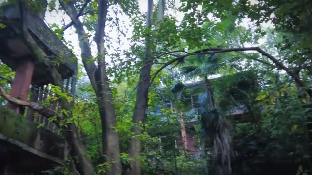綦江区神秘的乐园旧址，杂草丛生满目荒芜，为何被废无人知晓