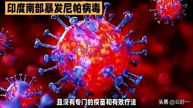 “尼帕病毒”来势汹汹	，建议：每家备好5样东西，关键时刻能救命