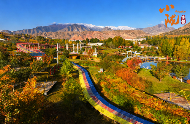 【小陇画报·426期】肃南：多彩秋日 满目金黄