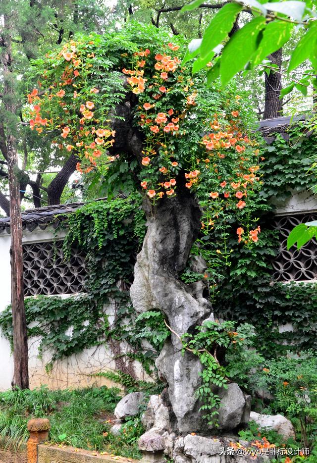 寄畅园一年之中介如峰最美的时候