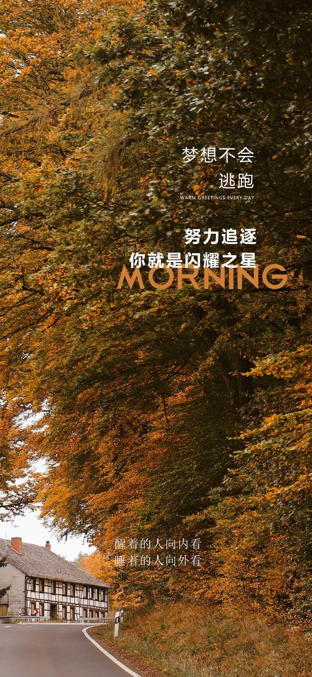 校园里的神奇小秘密：原来他们是这样成功的！