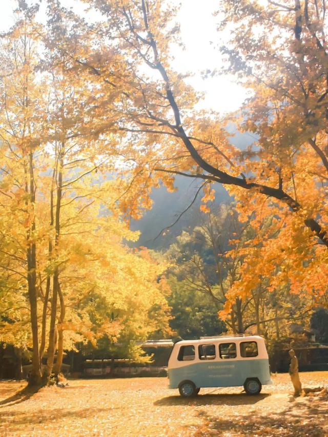 美如仙境！韶关这个地方迎来今年首场冰挂雾凇景观，秋冬来旅行，赏雪泡泉看红枫为你安排好了