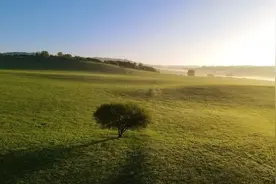 御道口草原森林风景区开园公告！图片