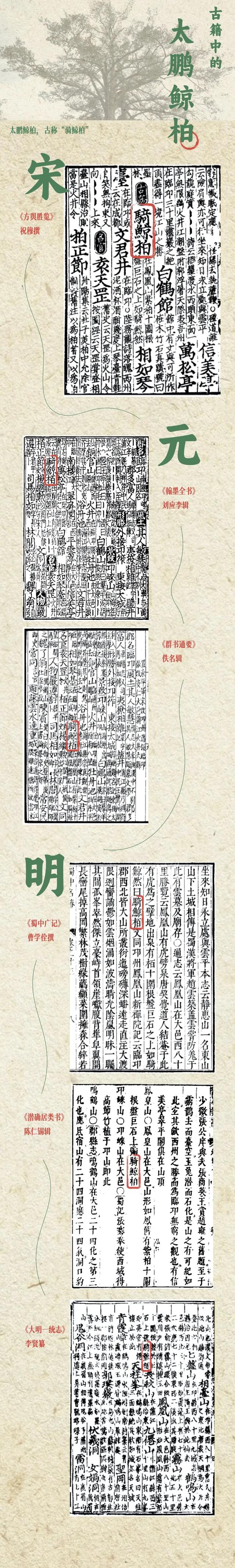 发现·公园城市 | 在成都，这个有两千岁古树的村庄也是长寿村