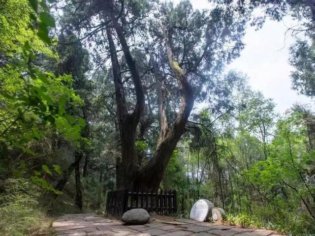 四川这座川北门户小城，是三国迷的理想出游之地