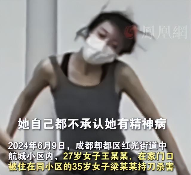 成都遇害案添新证！庭审细节曝光，精神病判刑有望，律师再曝猛料