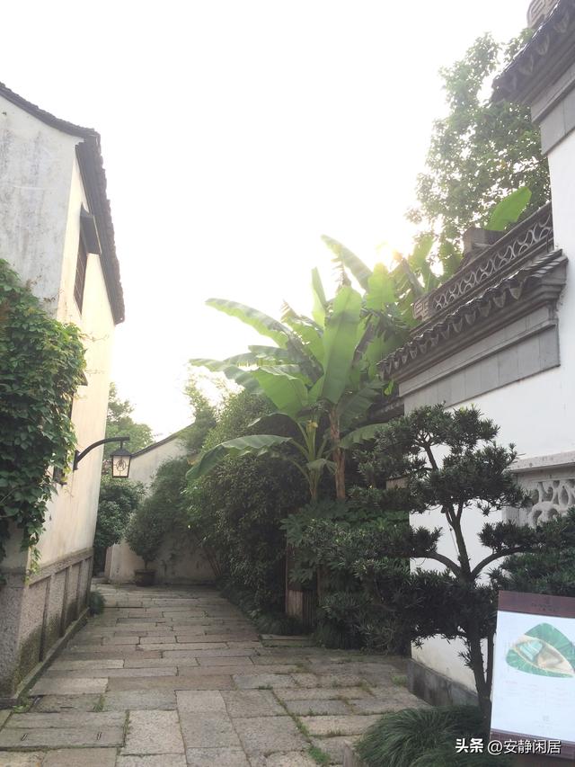 上海好久没下雨了，想起那些细雨飘洒的日子——细雨中大禹古村落