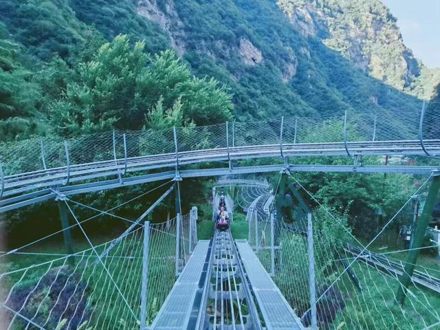 2025年暑假带娃错峰出游，西安+洛阳8天保姆级攻略