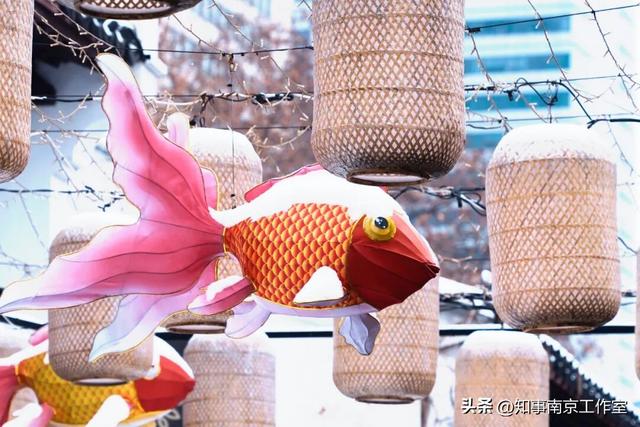 一场大雪，南京暴增20多个“5A景区” ！