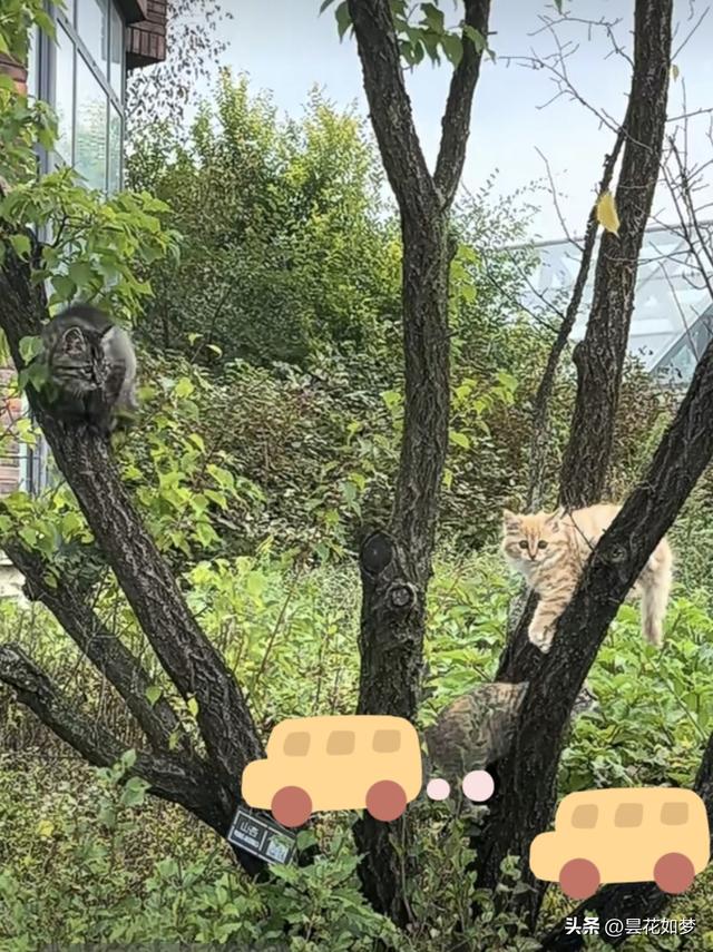 退休了咋不享清福？我带老伴摩旅3年，发现3个“绊脚石	”特真实