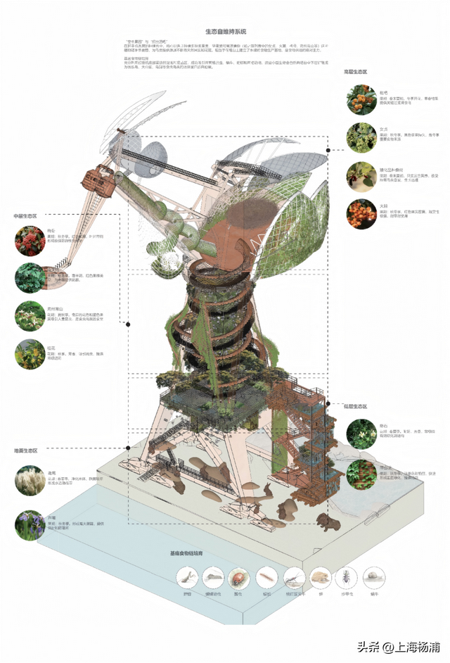 周末来复兴岛，做休闲“岛民”