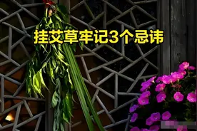今年端午是“凶日”，挂艾草牢记3个忌讳：1不采、2不挂、3讲究图片