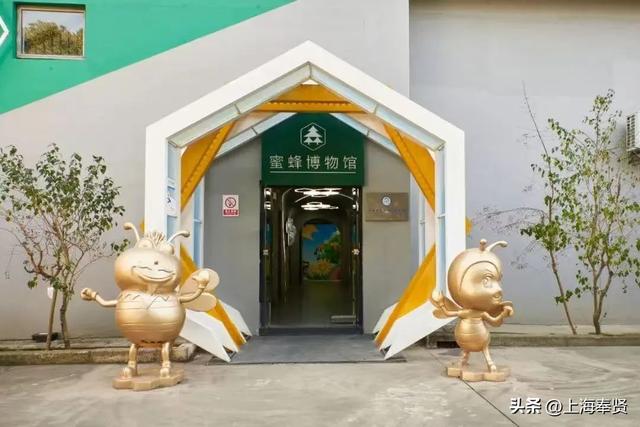 “志贤计划”暑期季第九弹丨“漫步贤城路”家风趣游研学之旅招募啦！