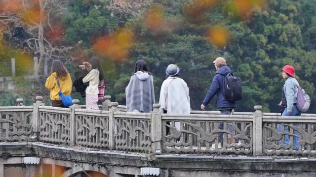 第二届庐山音乐节“邂逅”庐山赏枫季：乐队游客歌迷喜重重